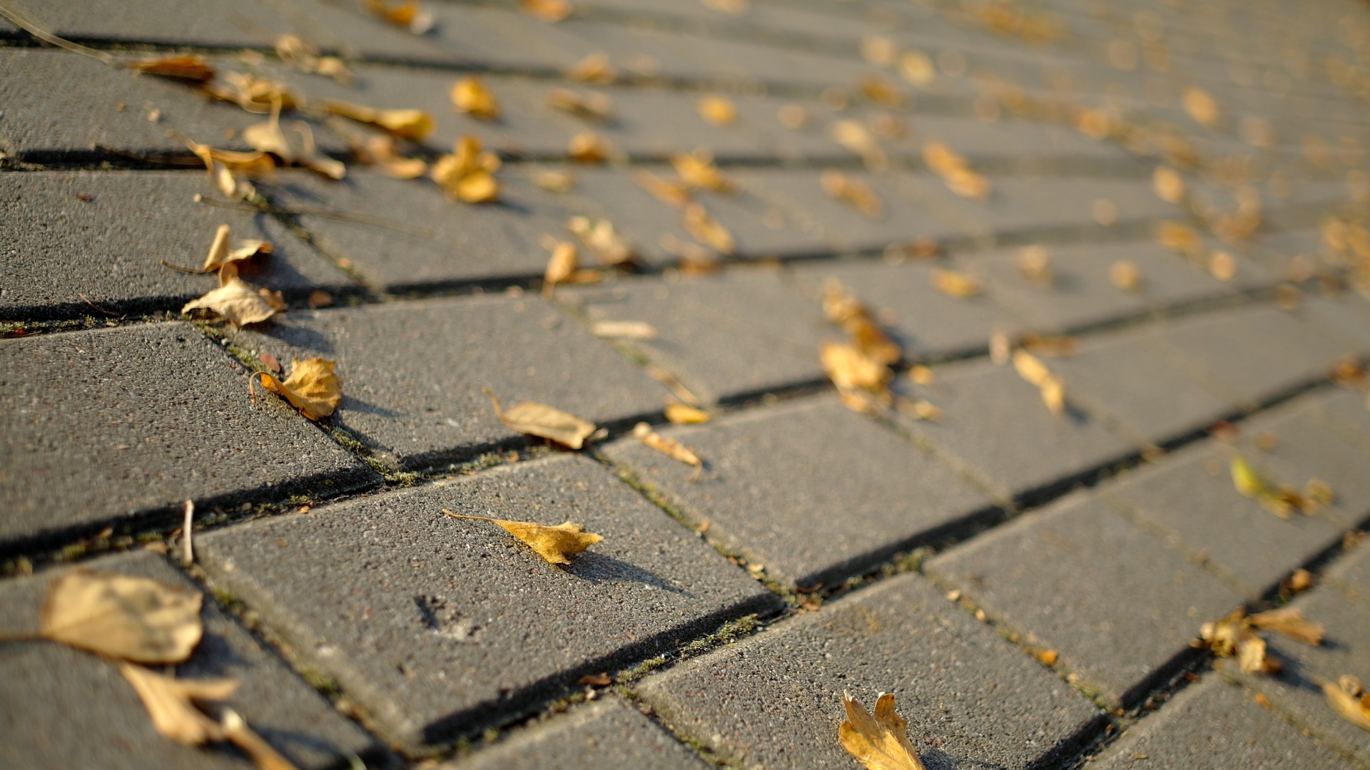 Тротуар обои