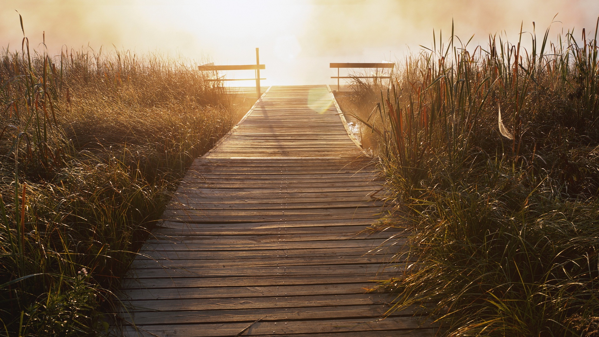 Выход к реке обои