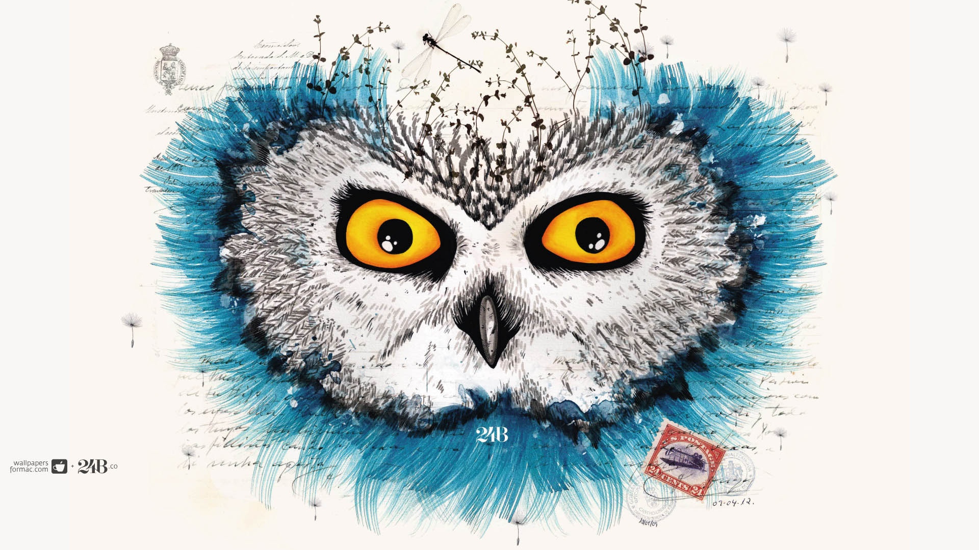Обои сова для mac book обои