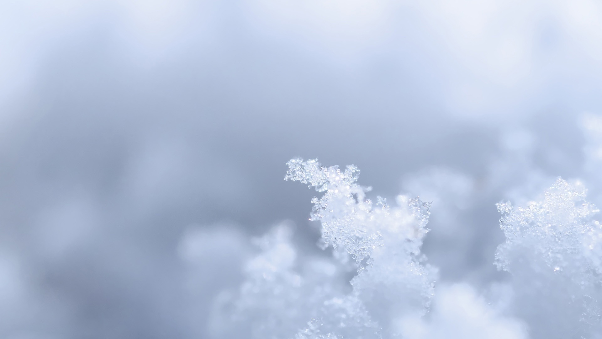 Макро фото снега обои