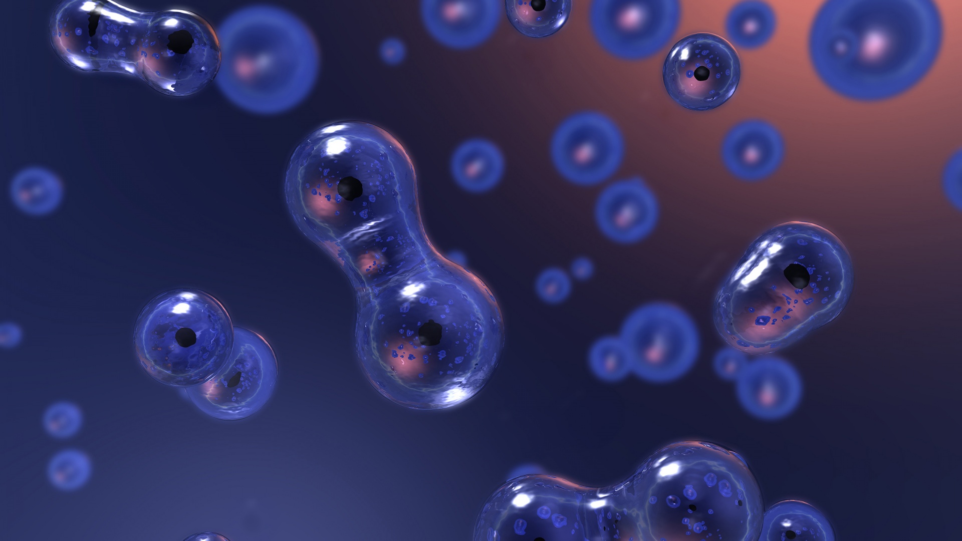 Деление обои