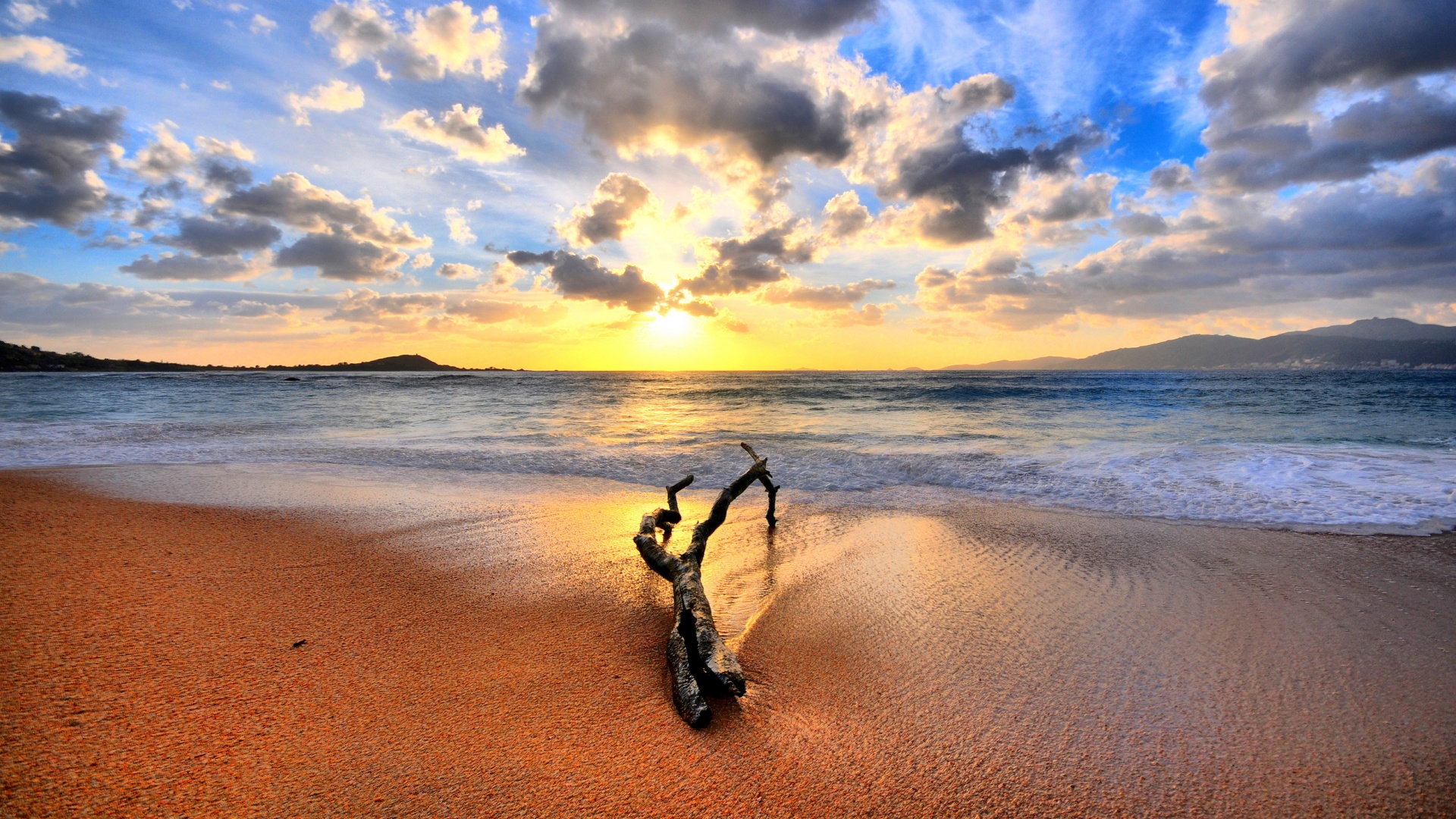 Коряга на пляже обои