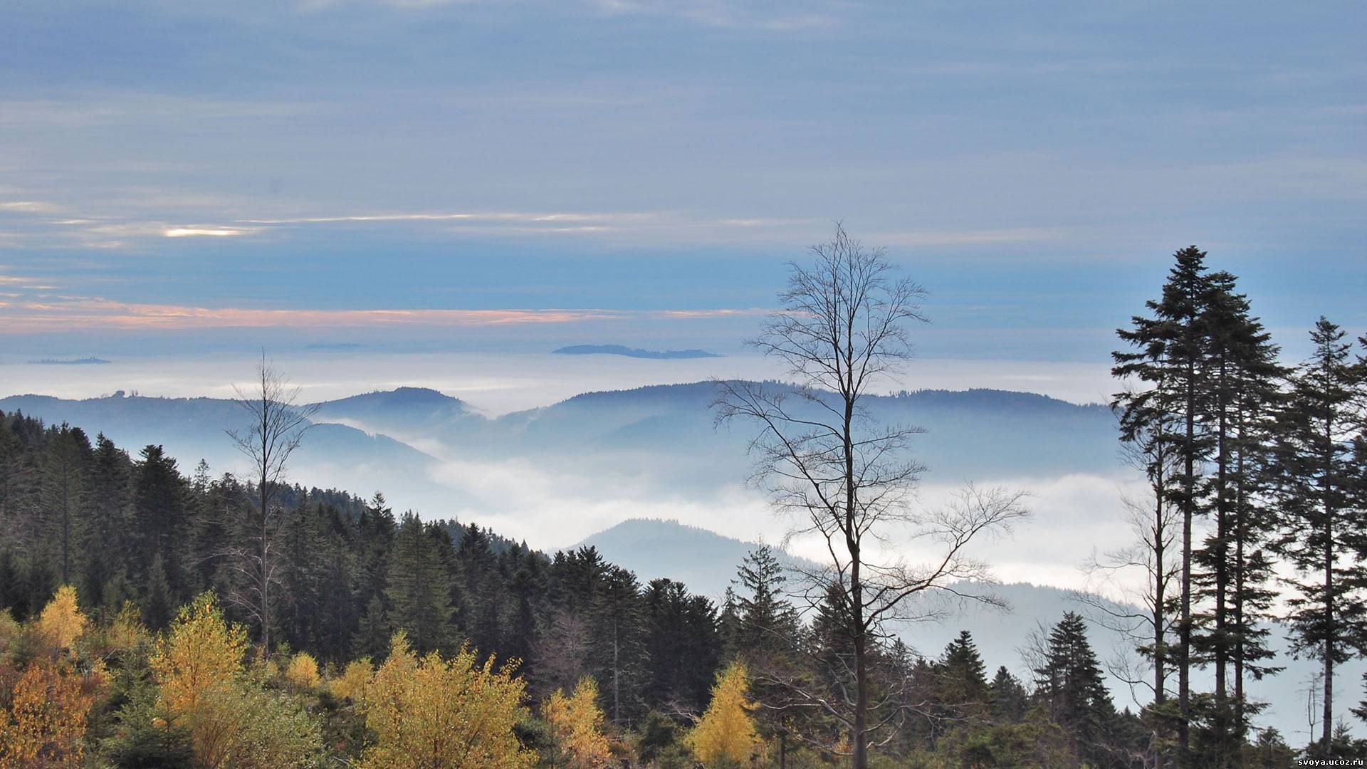 Холмы в тумане обои