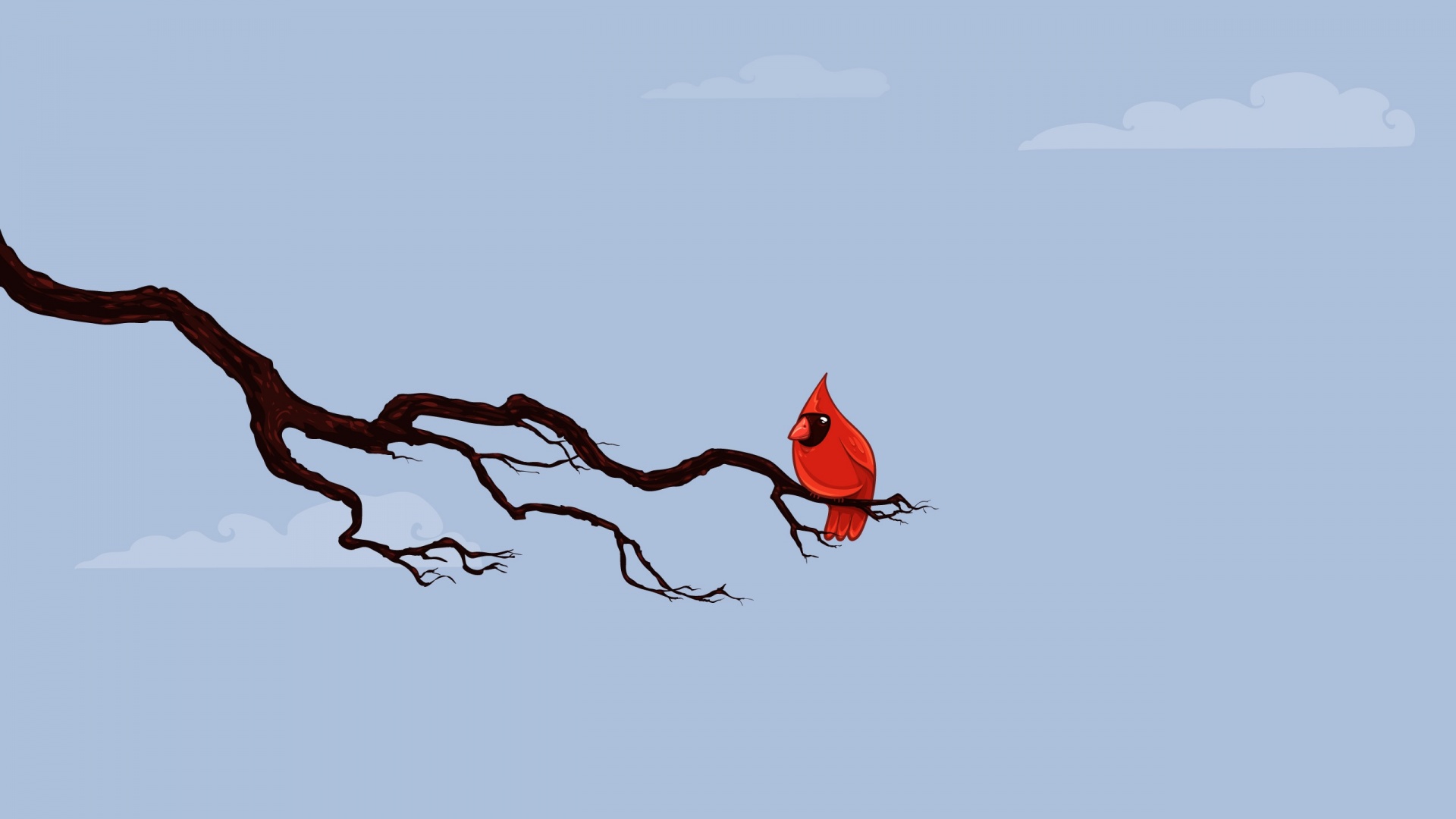 Красная птица на ветке обои
