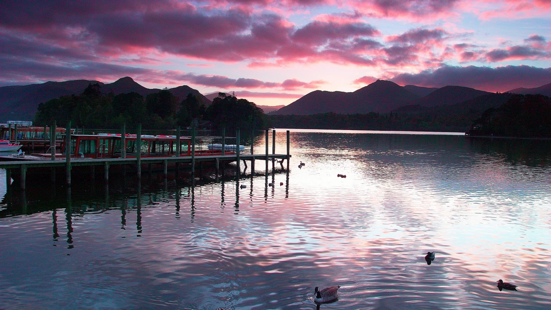 Причал на озере и утки обои