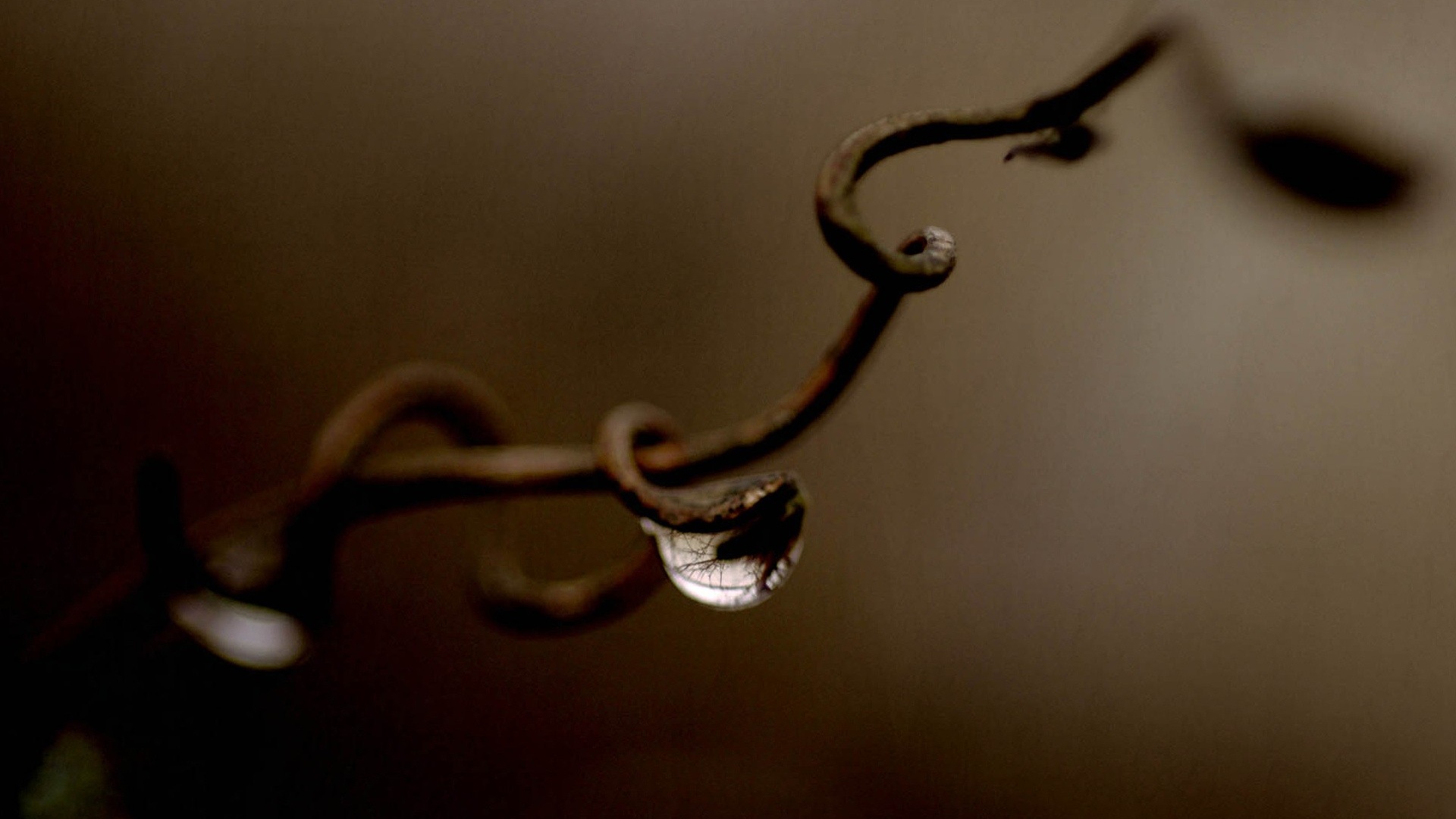 Одинокая капля обои