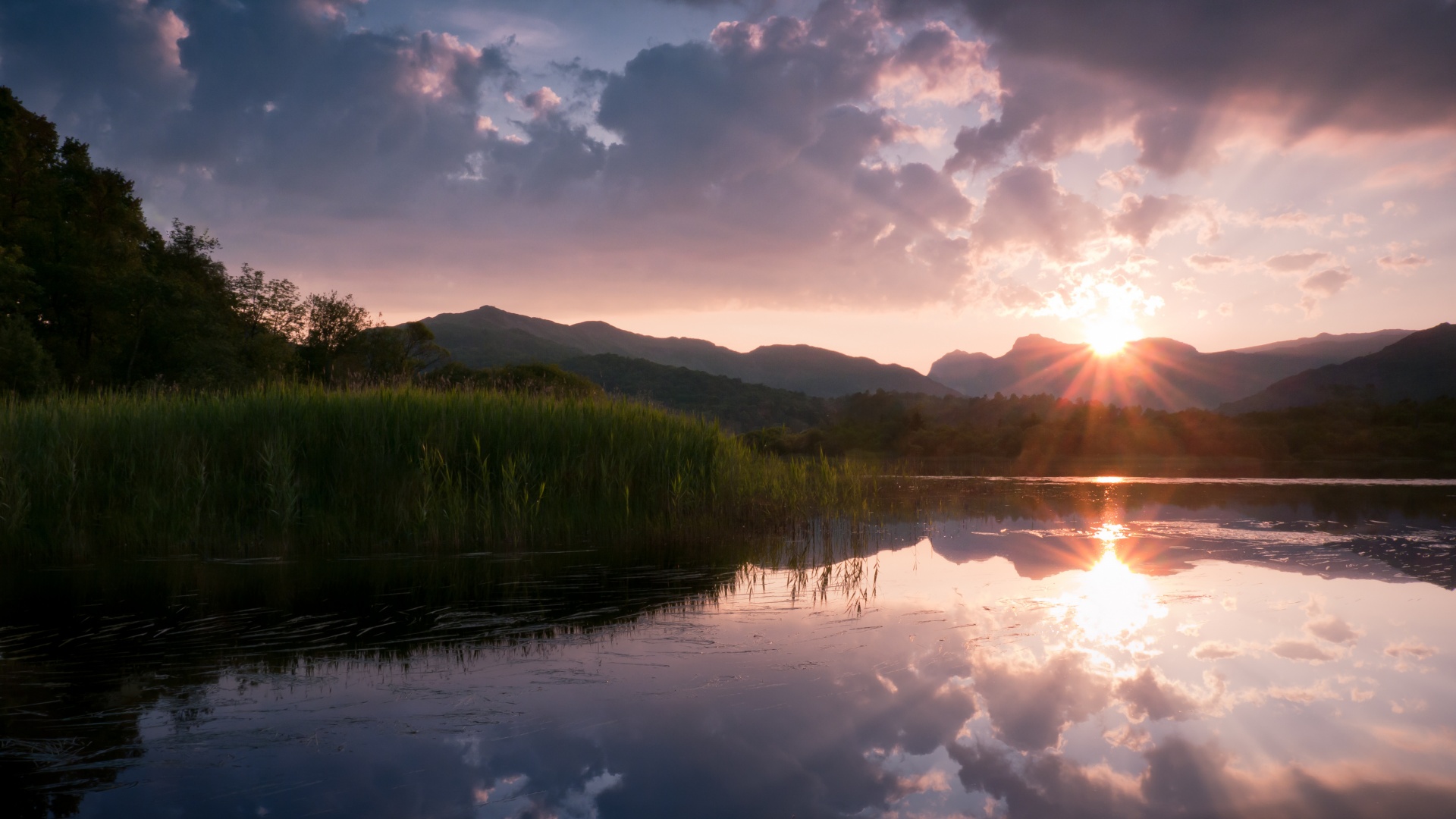 Закат за лесом обои