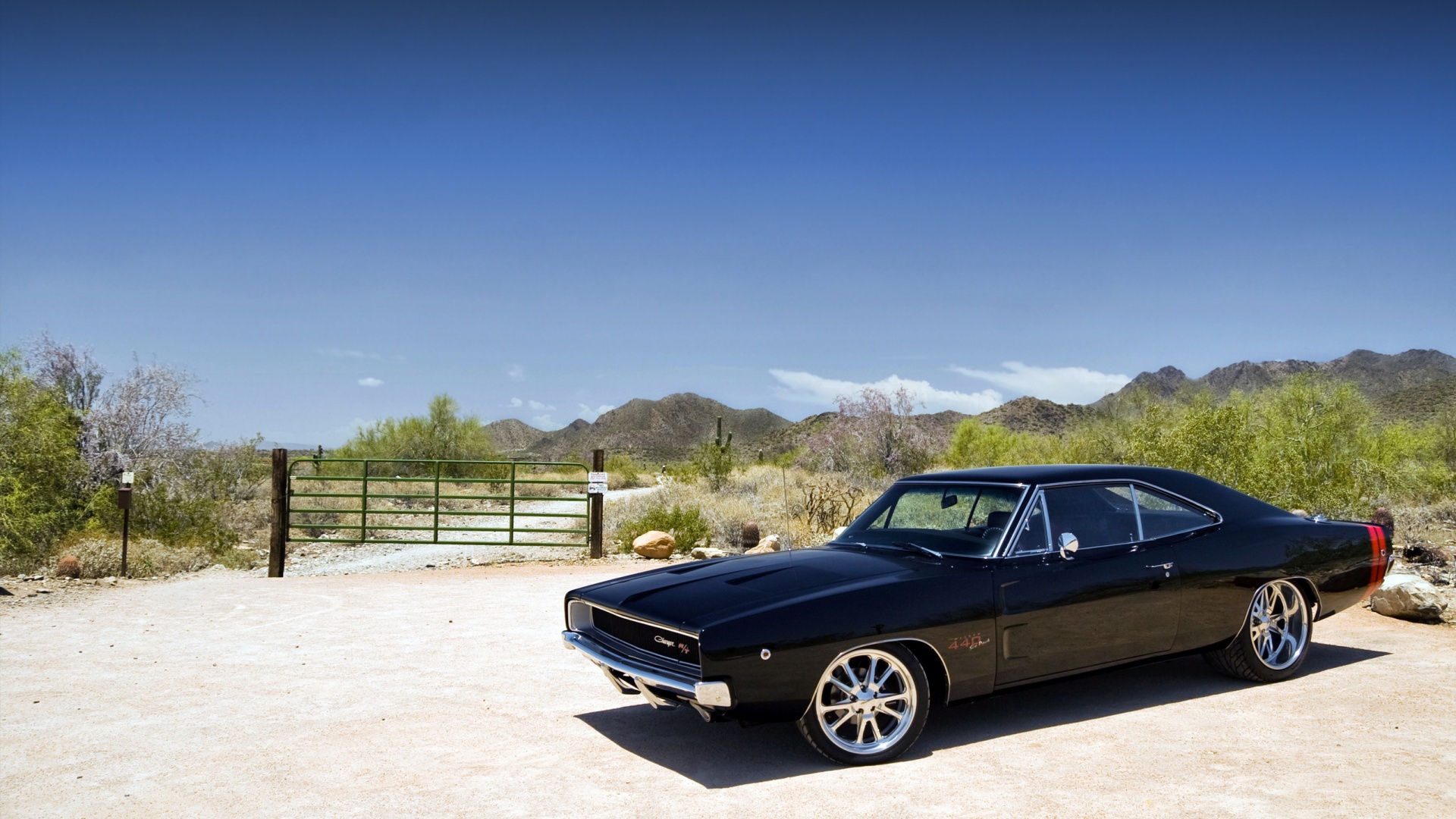 Мускулкар под палящим солнцем обои