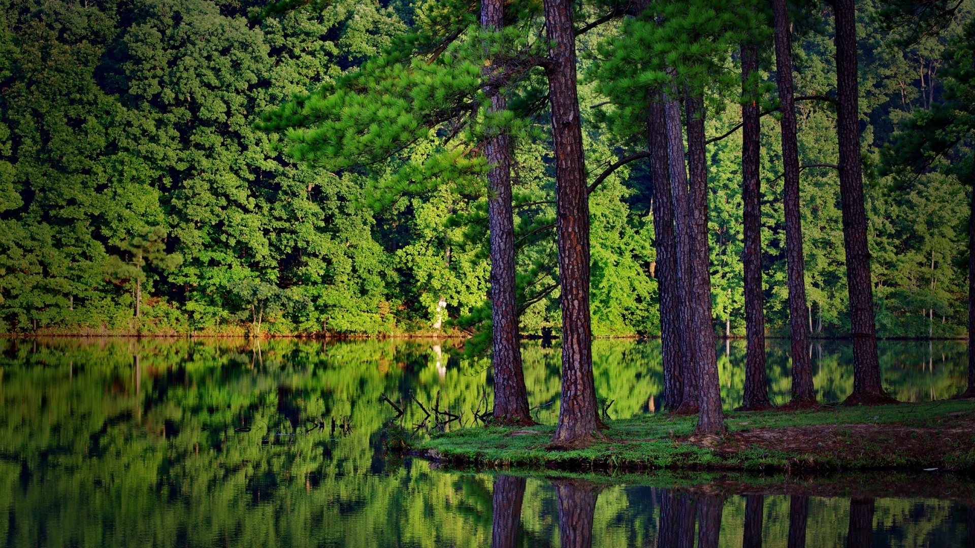 Островок посреди озера обои