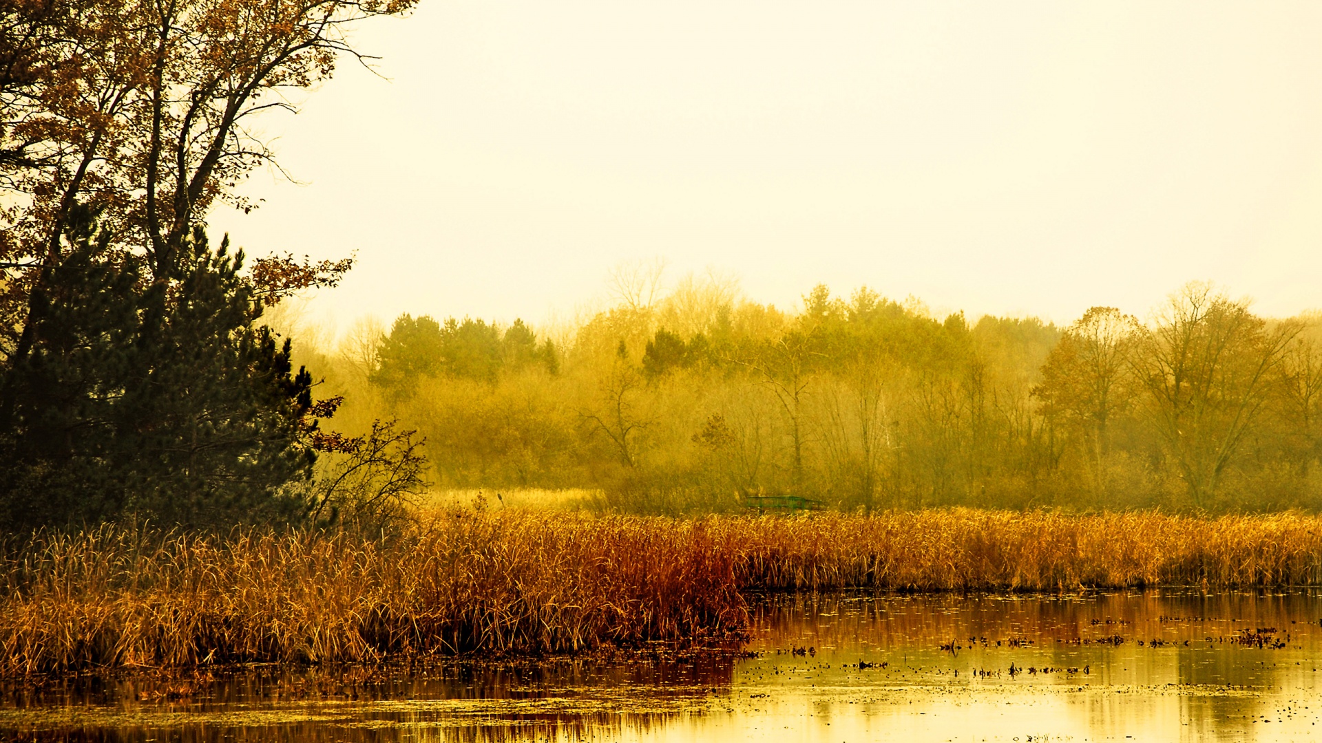 Живописные болота обои