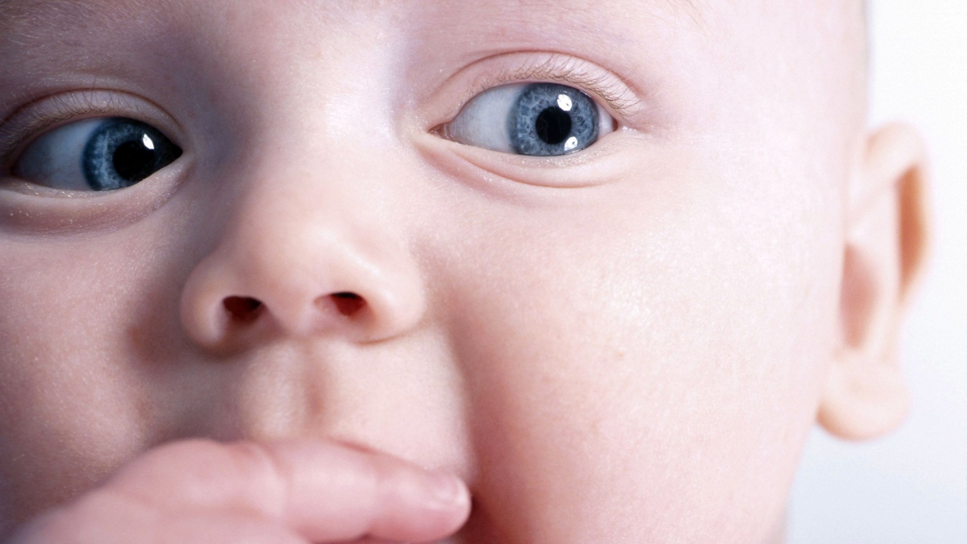 Что-то замышляет... обои