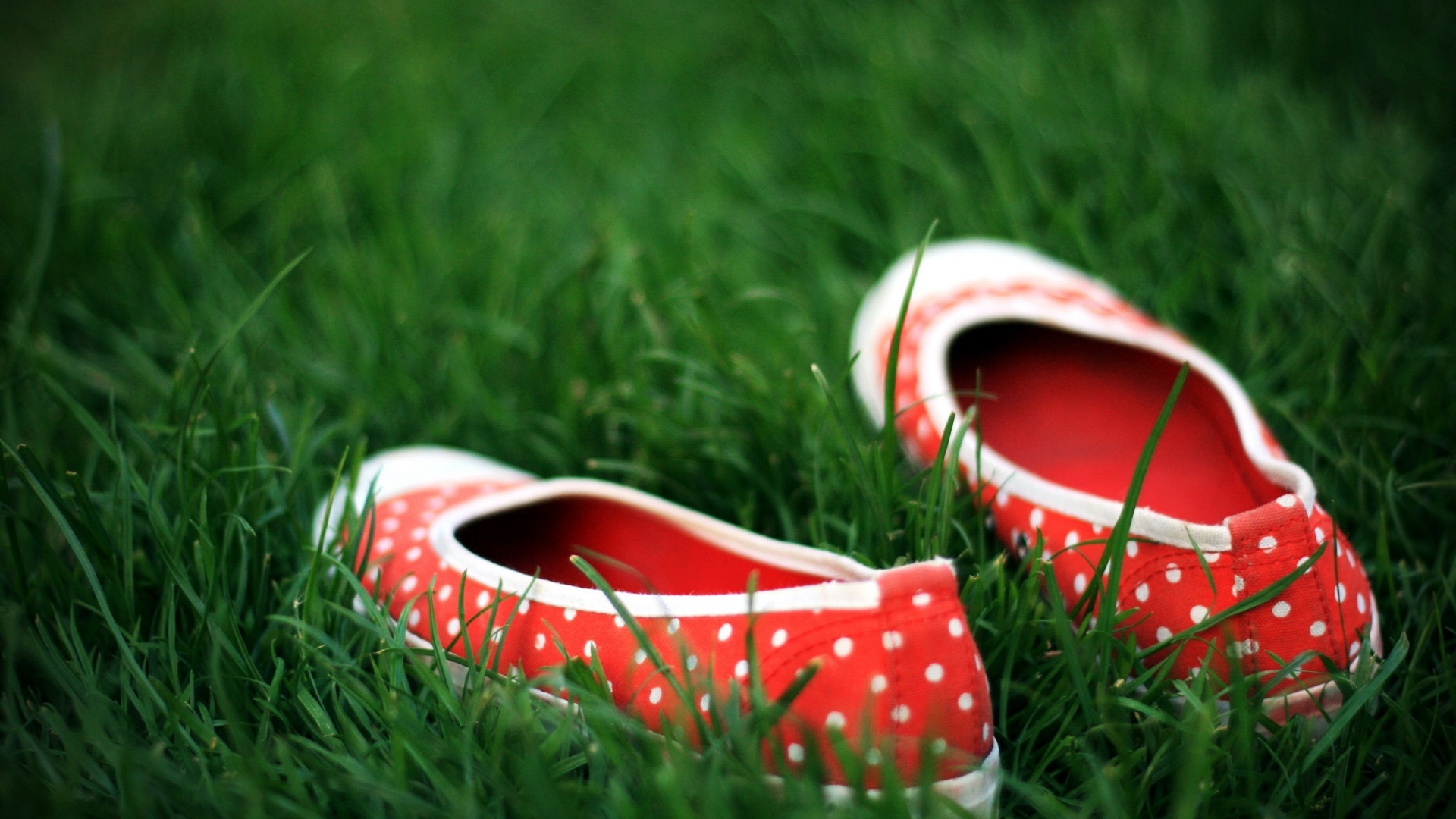 Красные тапки в горошек обои