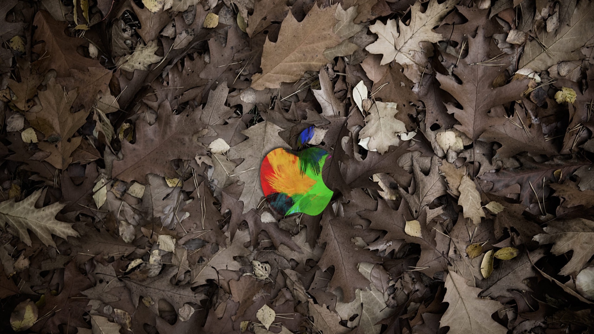 Яблоко в листьях обои