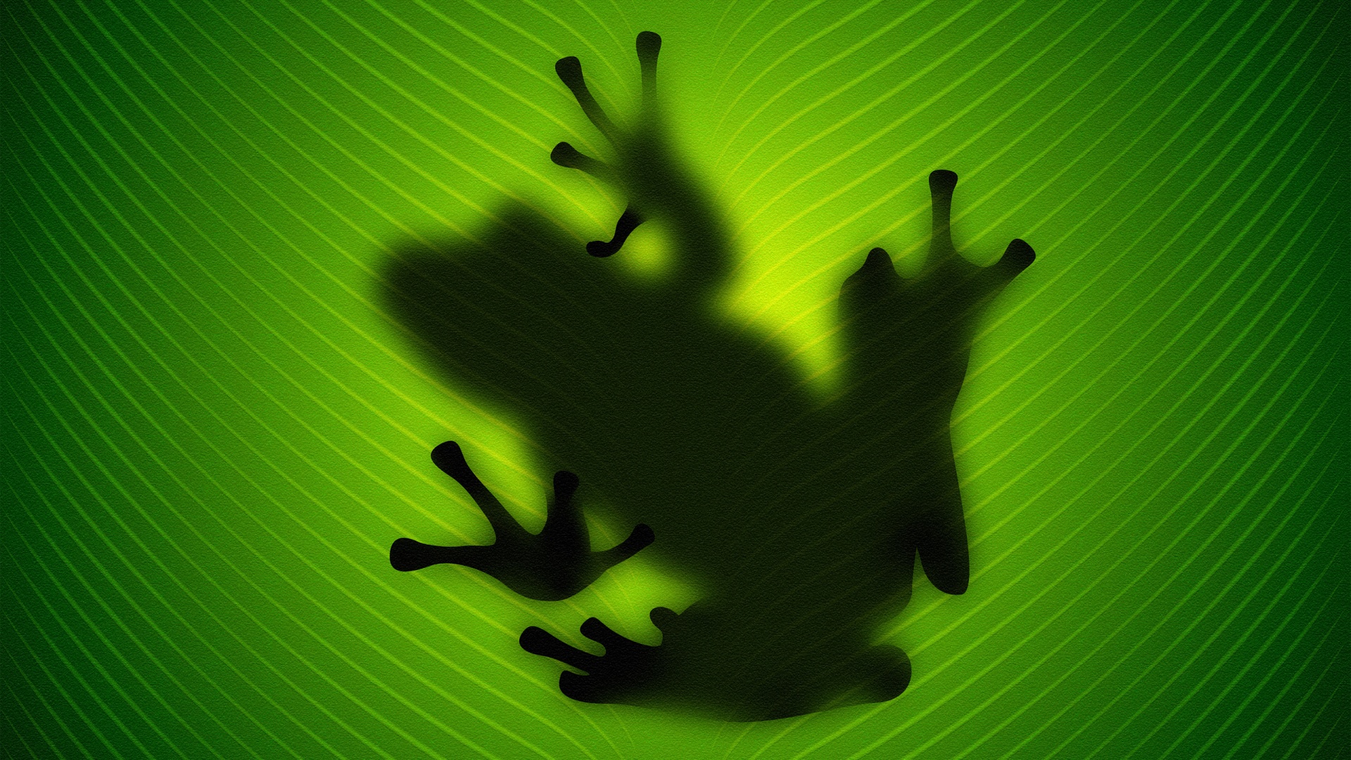 Силуэт лягушки просвечивает сквозь зеленый лист обои