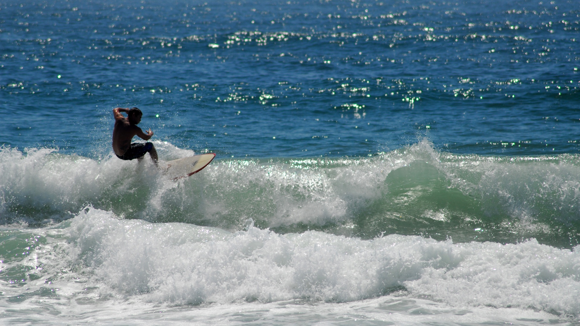 Сёрфенгист поймал волну обои
