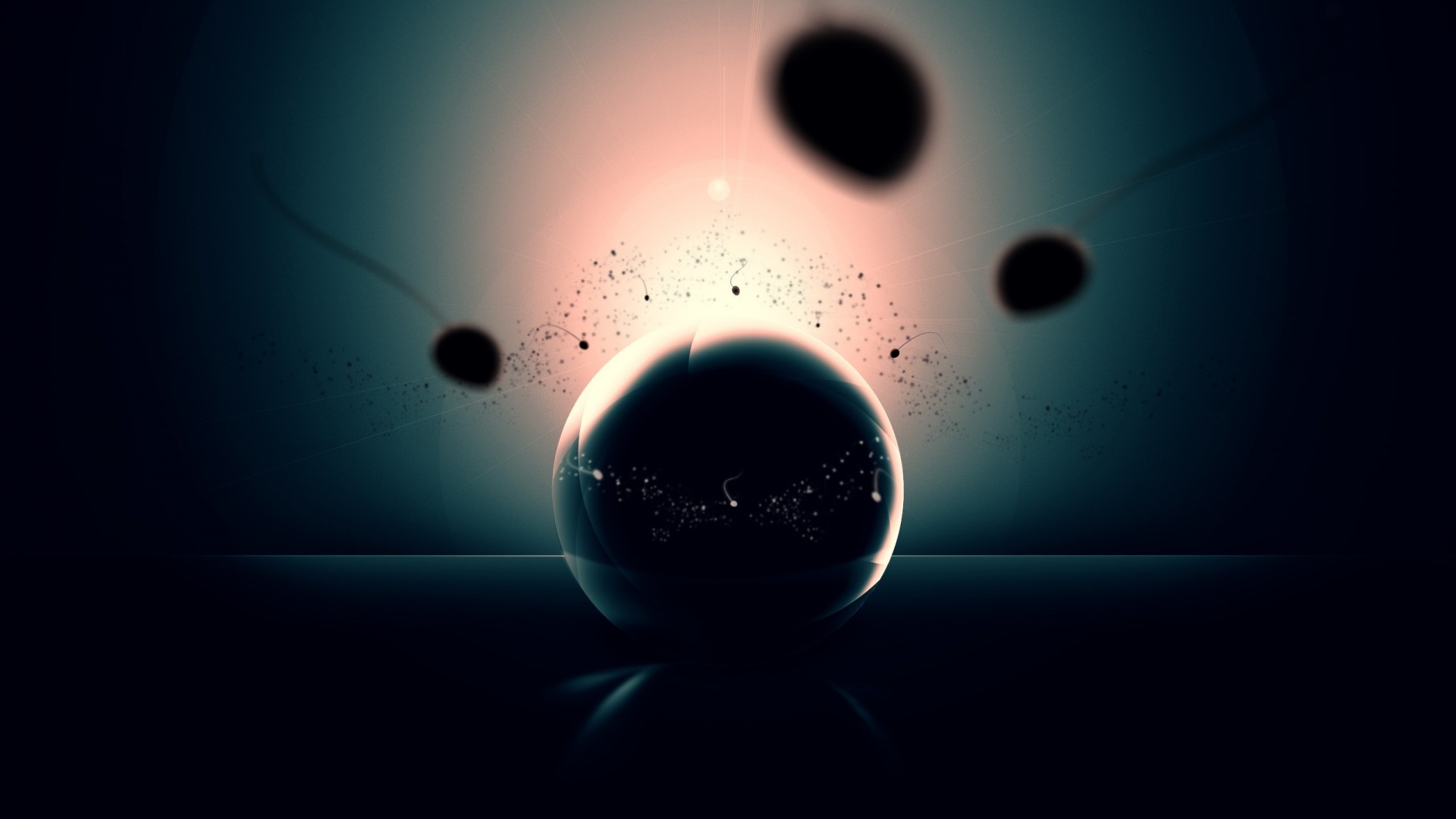 Оплодотворение обои