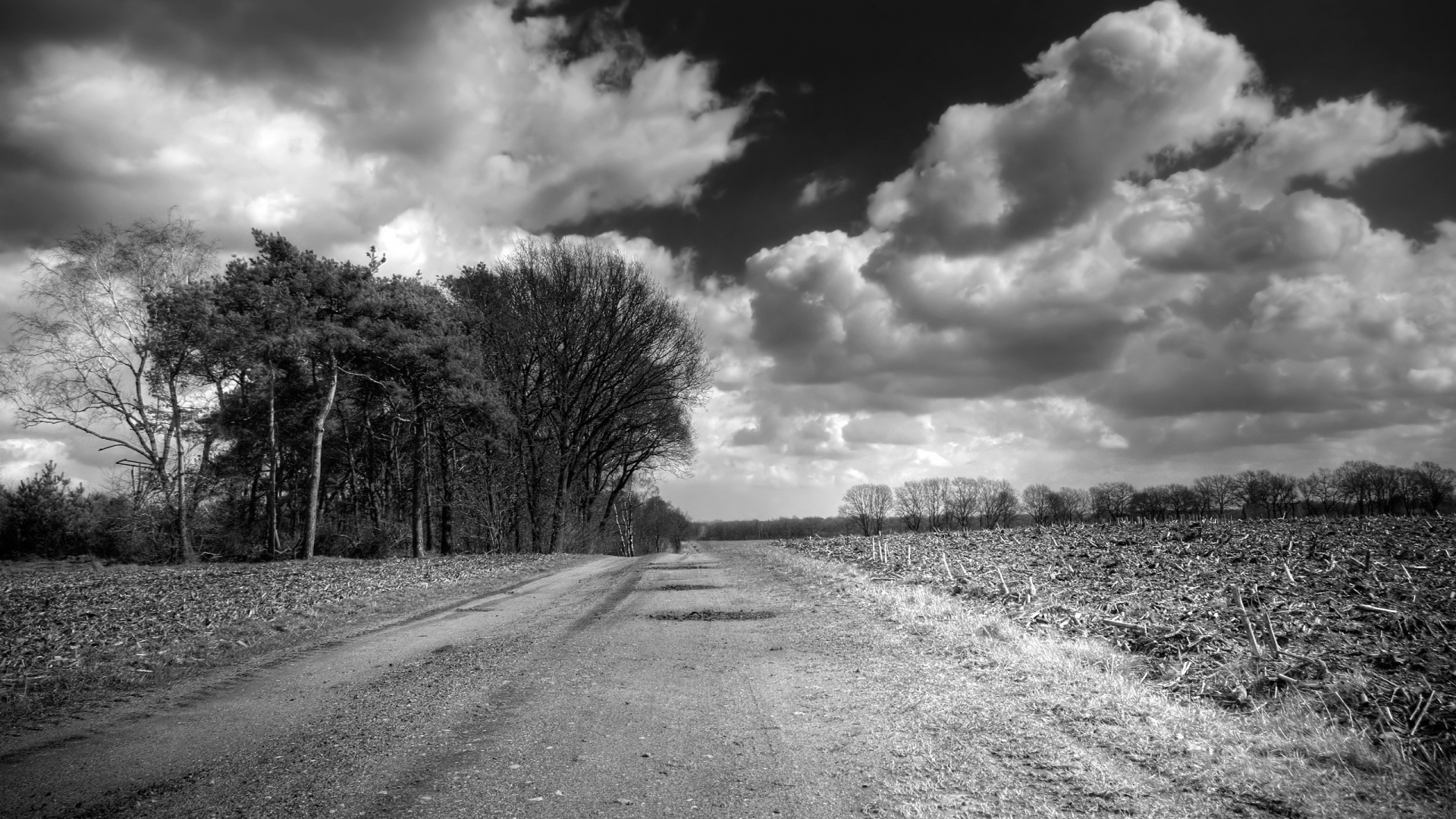 Дорога через поле обои