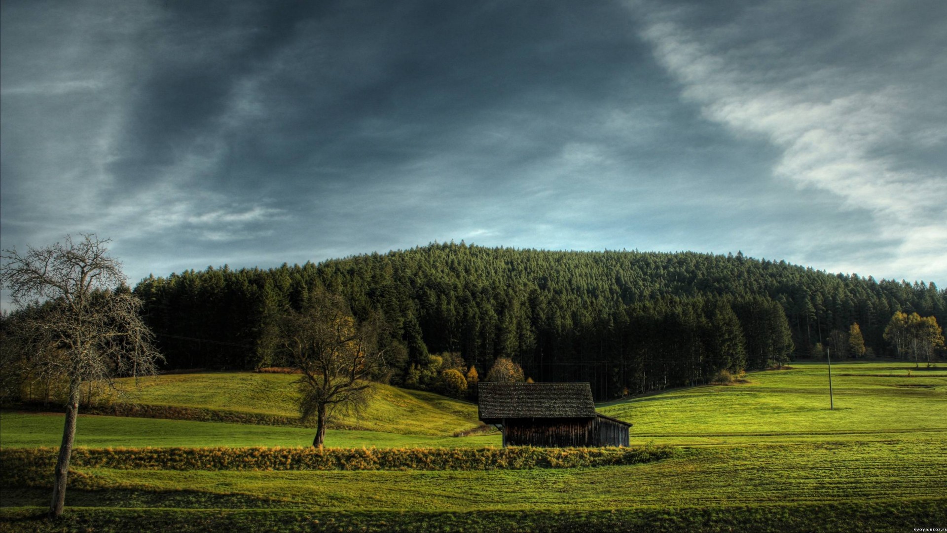 Домик в поле обои
