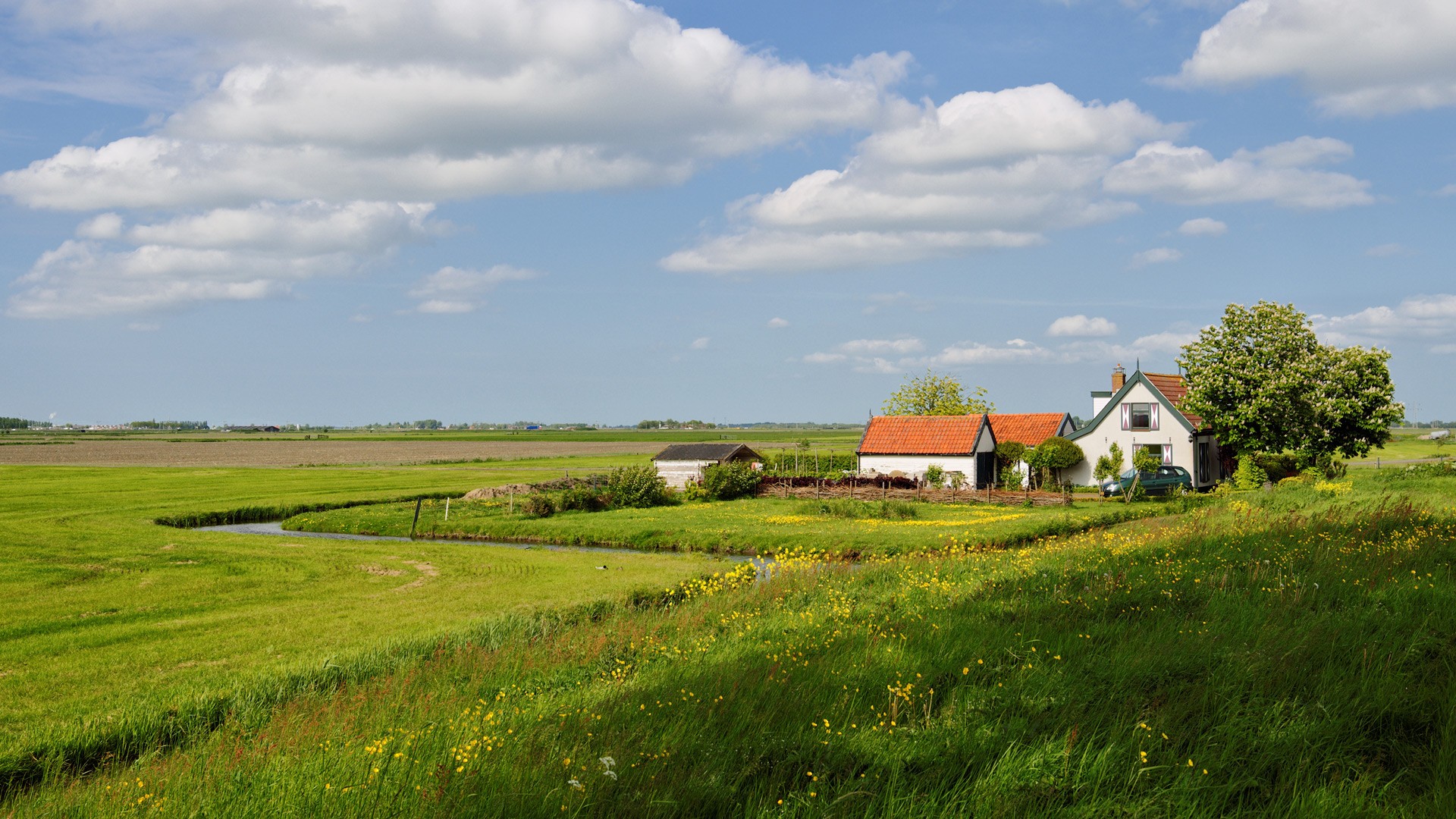 дом на лугу обои