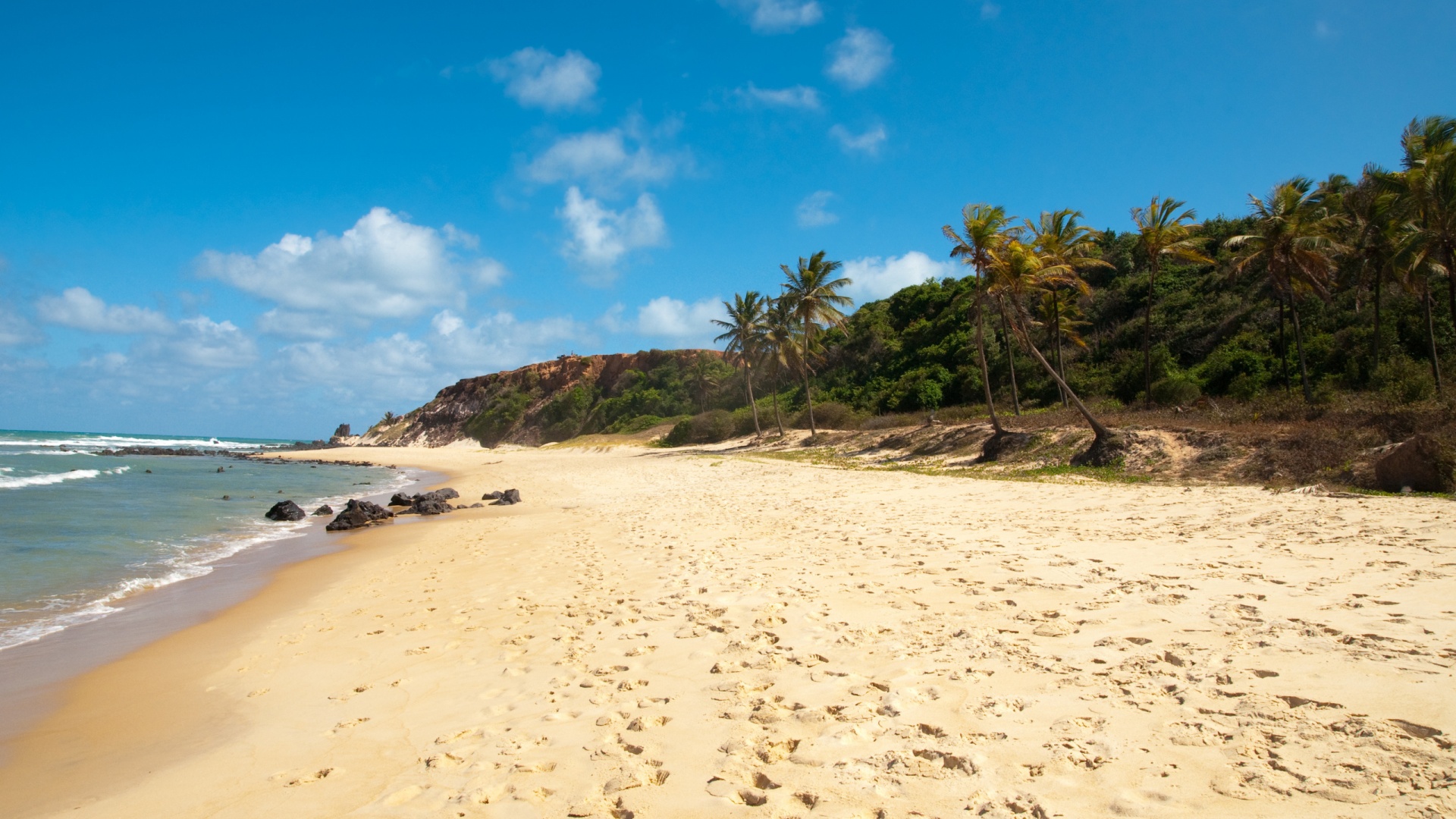 Туры в Бразилию в Лондрину обои