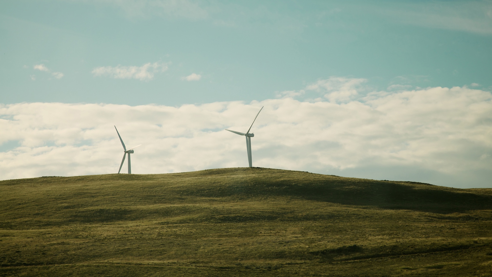 Ветряки в поле обои