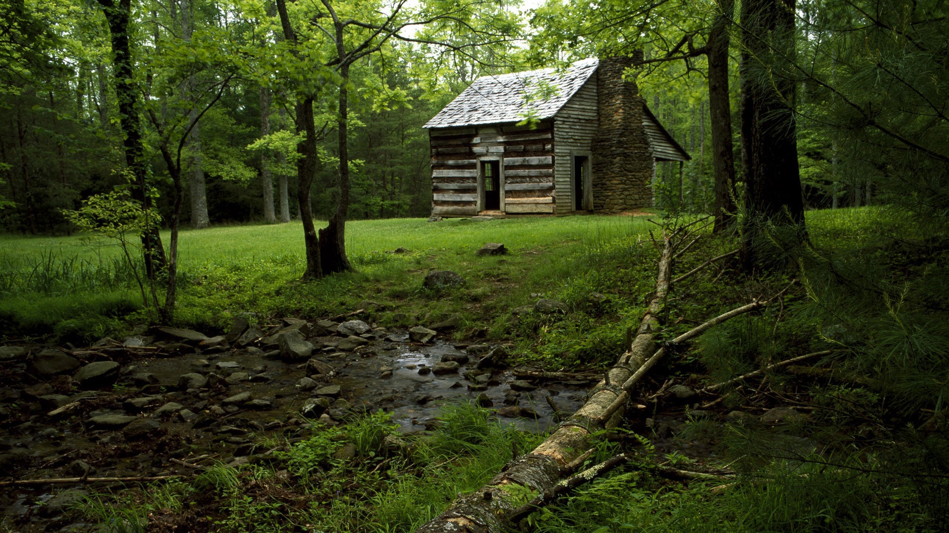 Домик в лесу обои