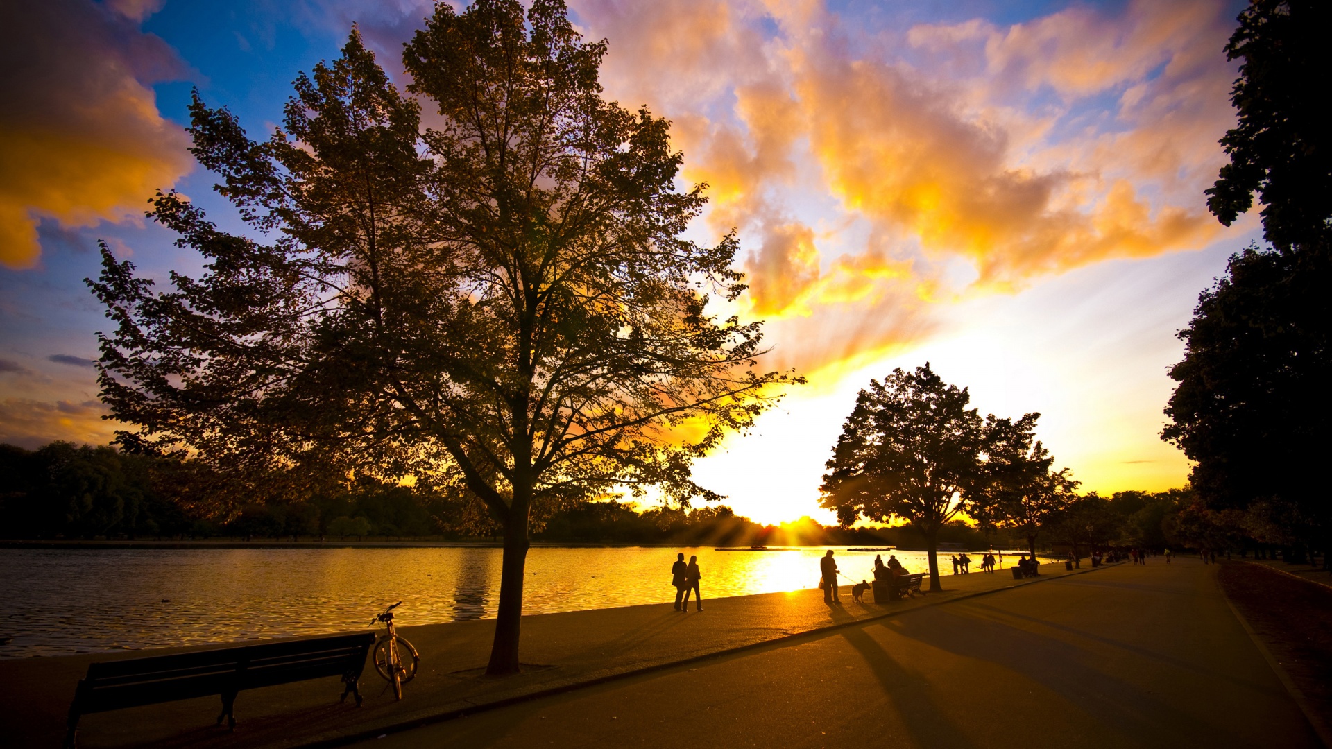 Природа обои