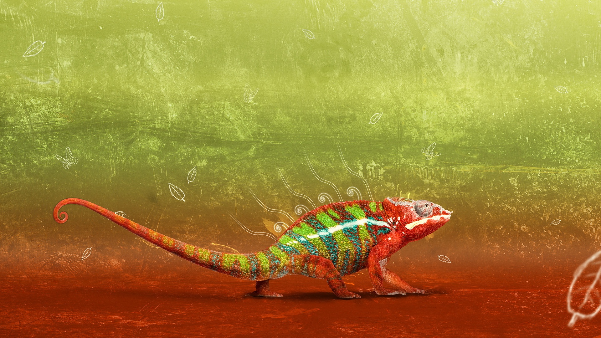 Хамелеон обои