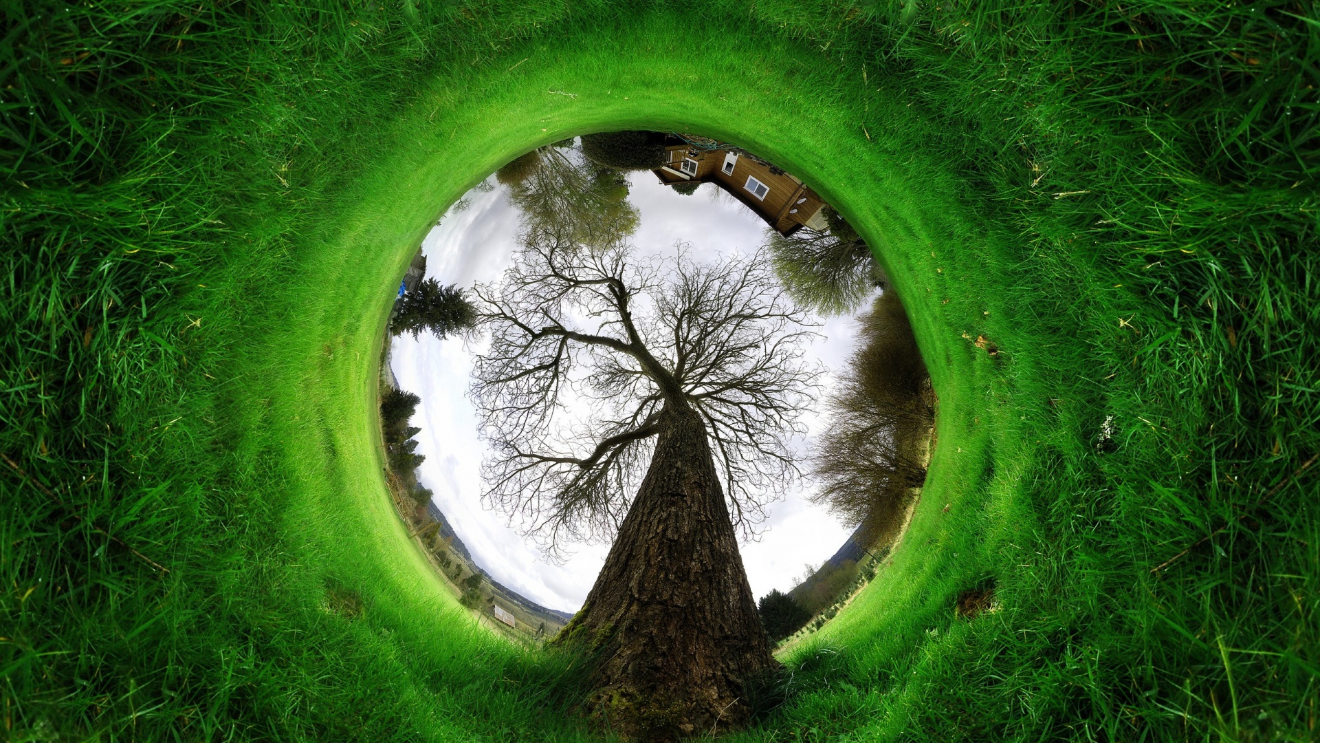 Другой взгляд на мир обои