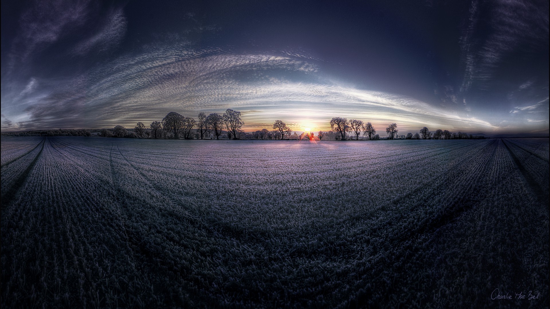Поле широкоугольным объективом обои