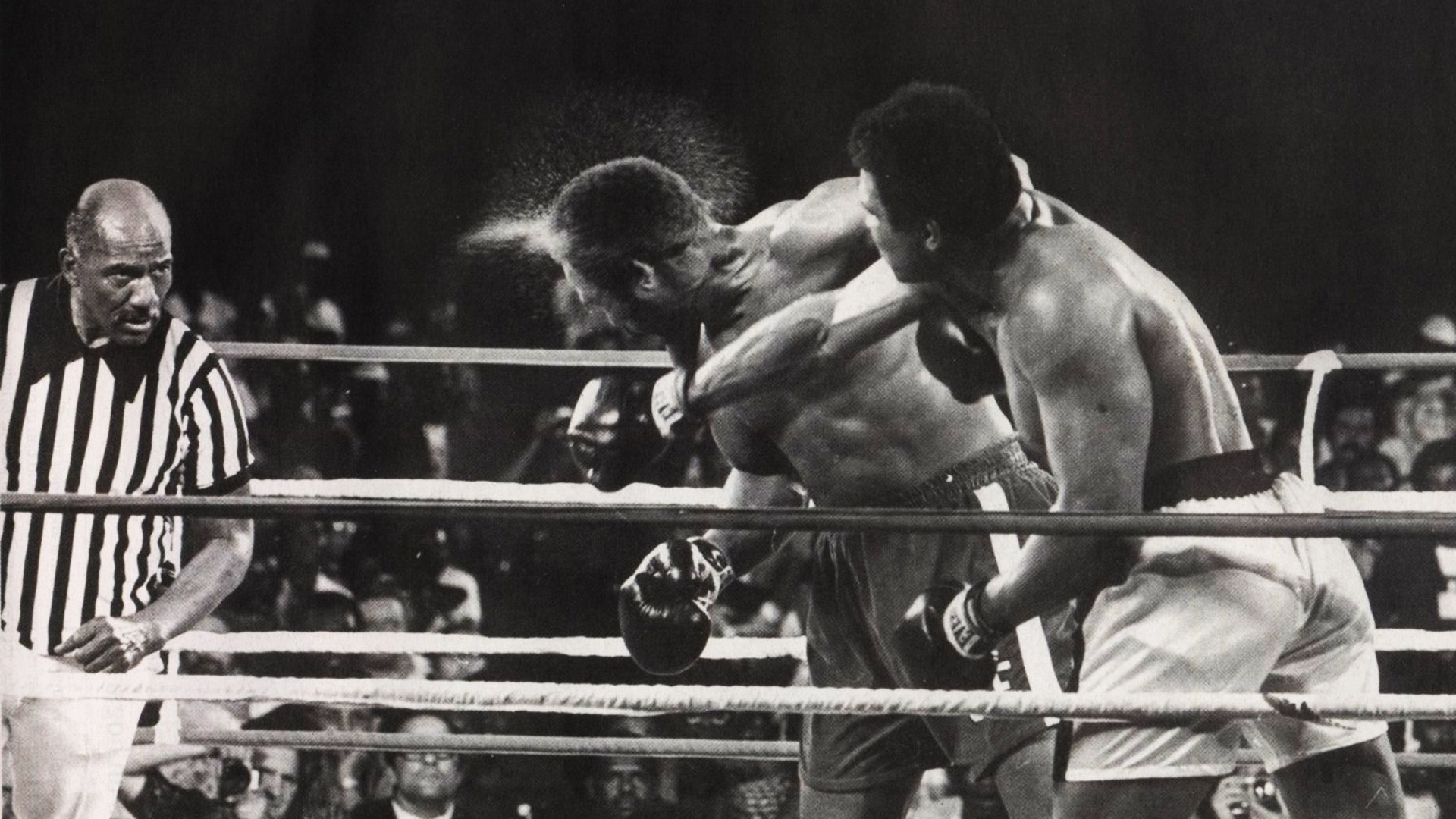 Чемпион по боксу Мохаммед Али обои