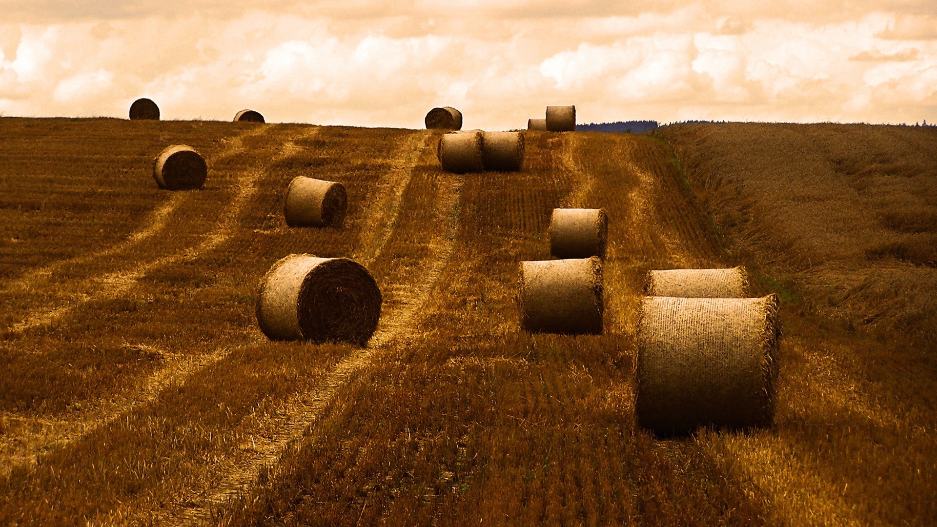 Уборка сена с поля обои