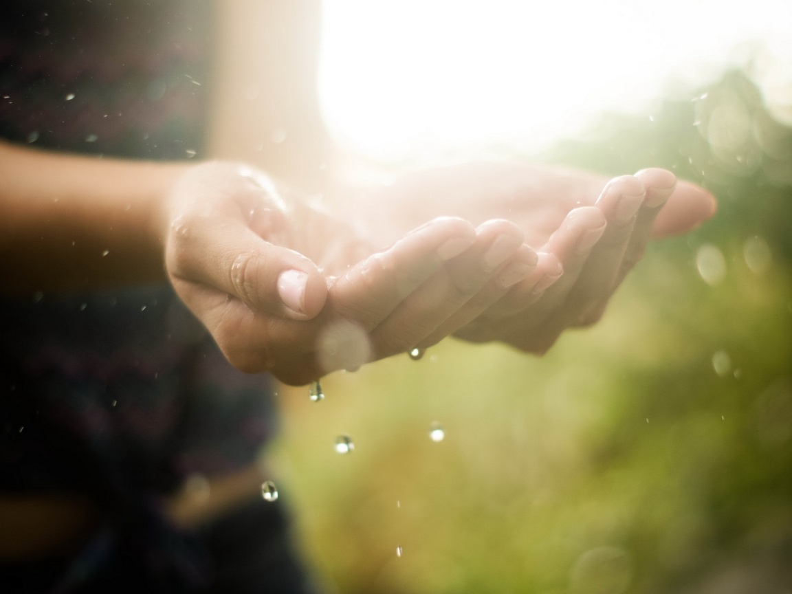 Дождь в ладонях обои