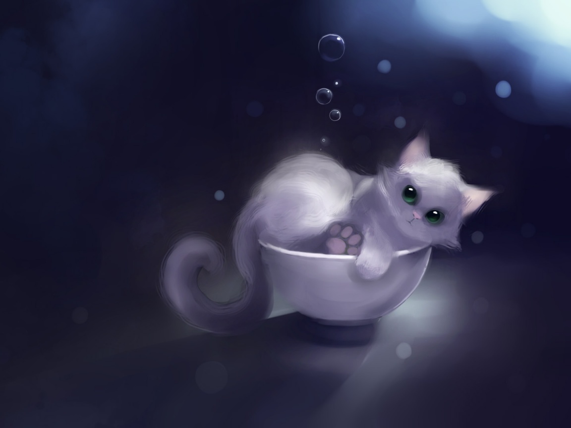 Котёнок в миске обои