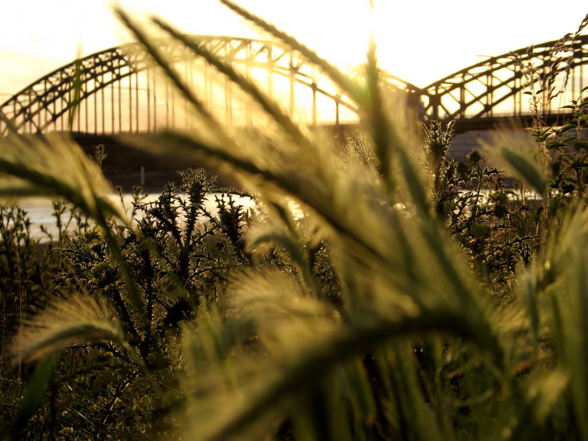 Железнодорожный мост обои