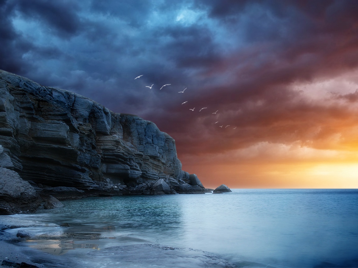 Чайки над скалами обои