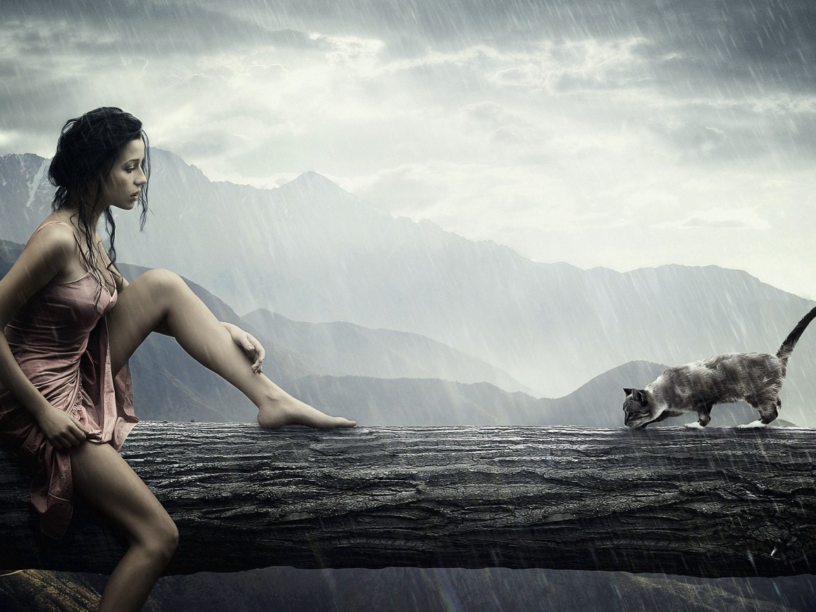 Девушка и кошка обои