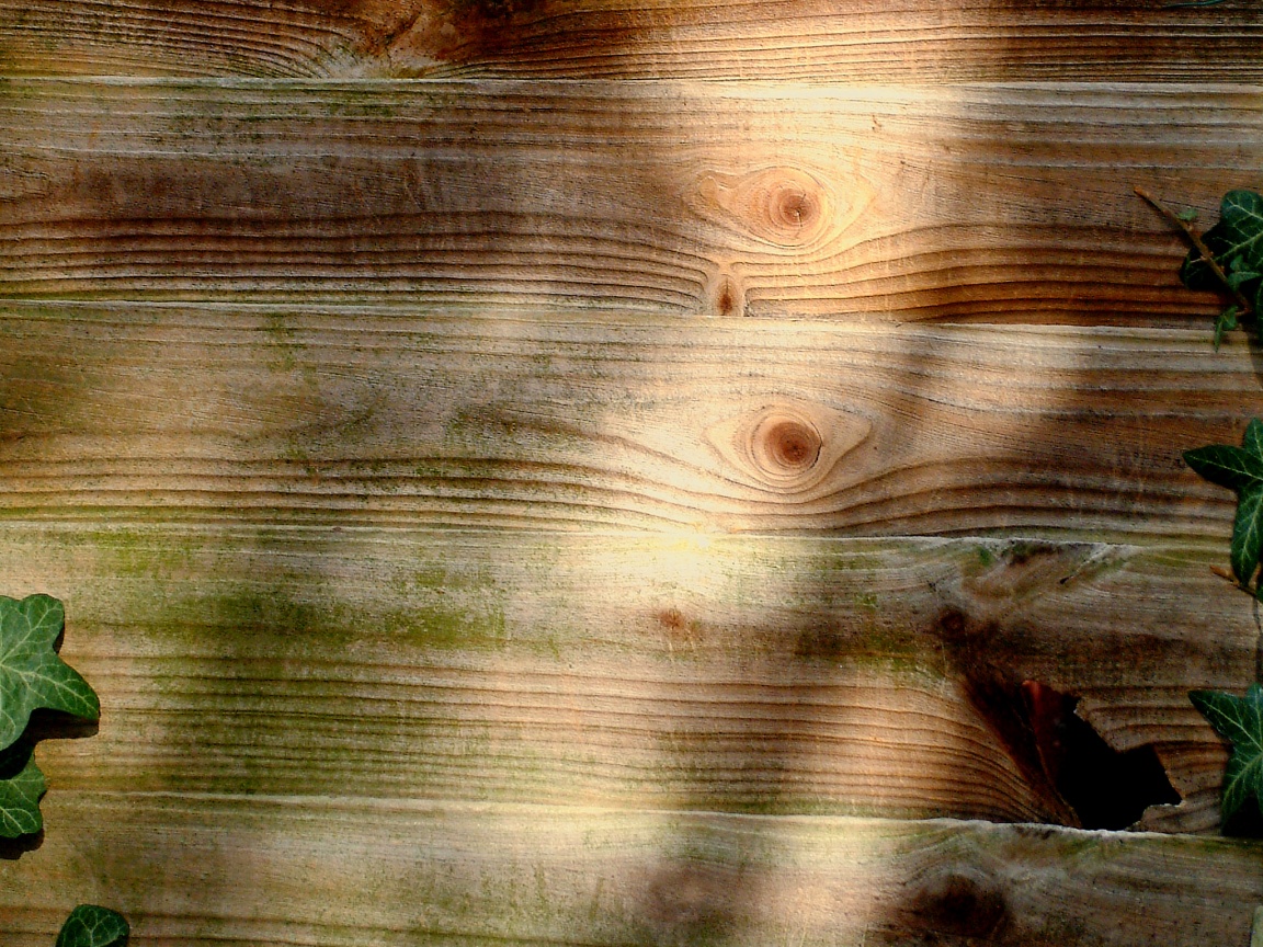 Деревянная поверхнуость обои