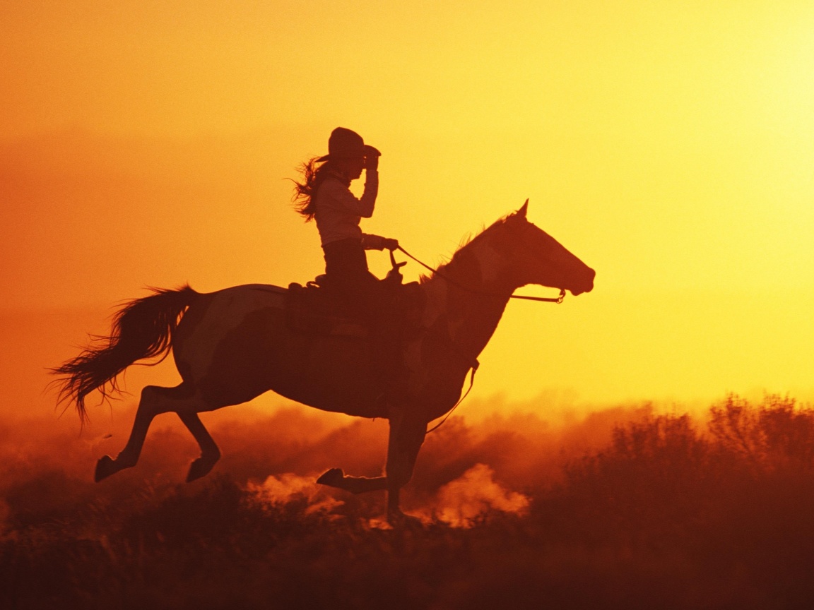 Наездница на закате обои