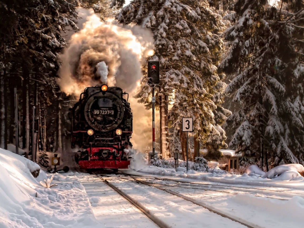 Паровоз в димнем лесу обои