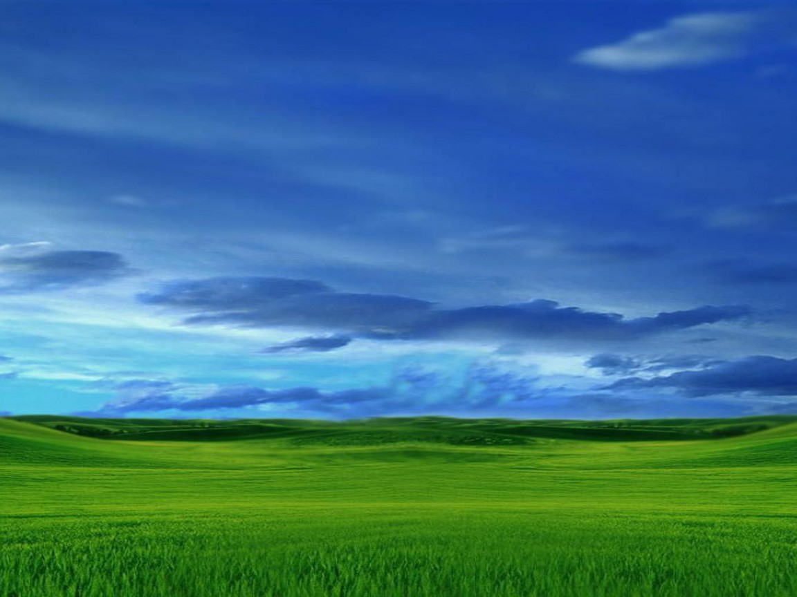 Зеленый луг обои