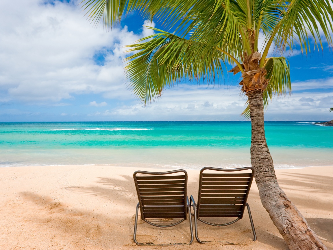 Шезлонги обои