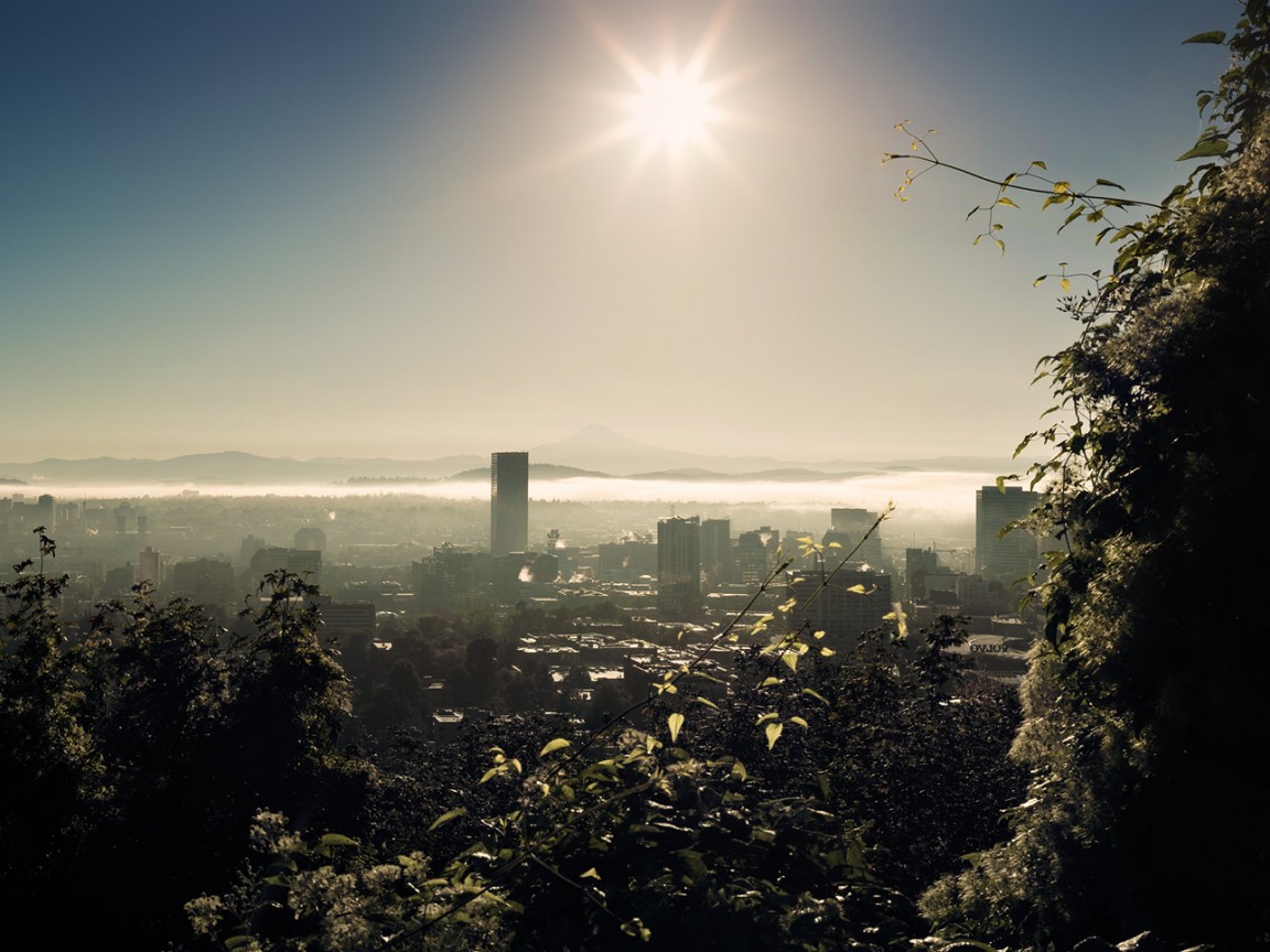 Утро в раю обои