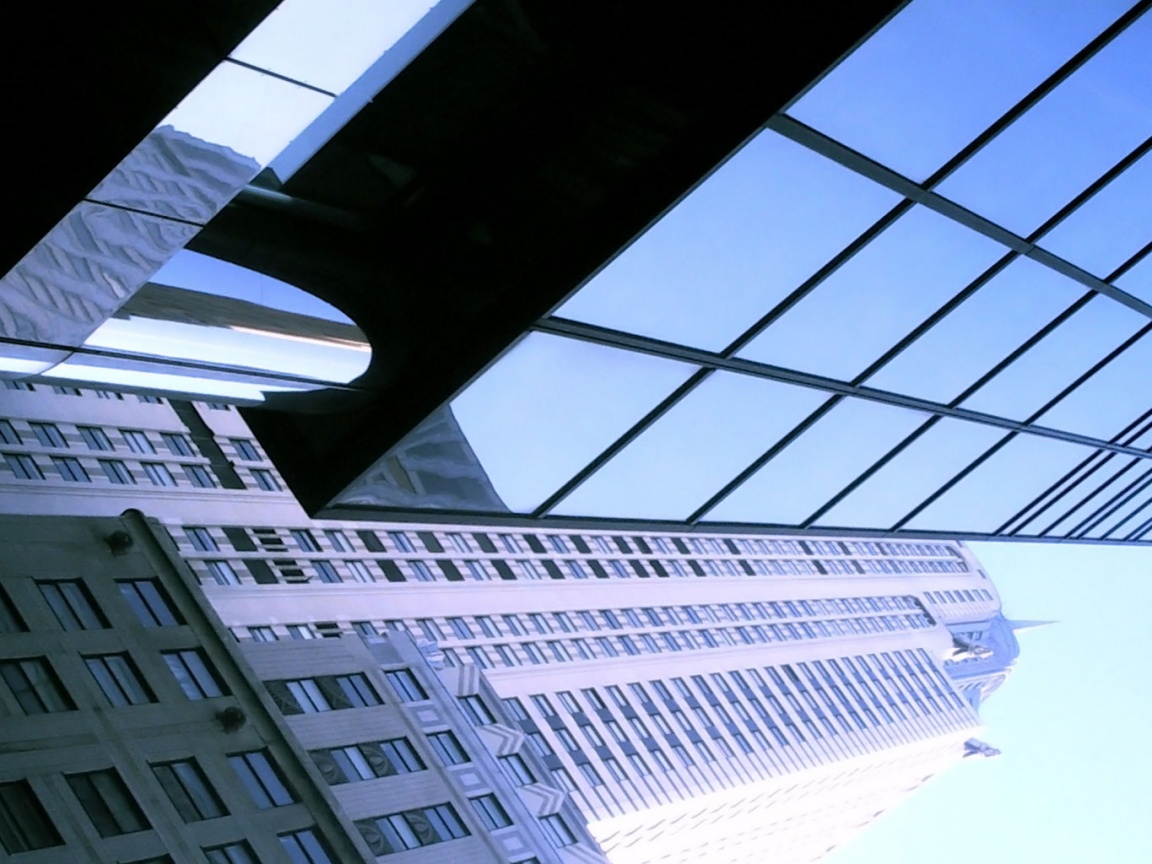 Взгляд вверх обои