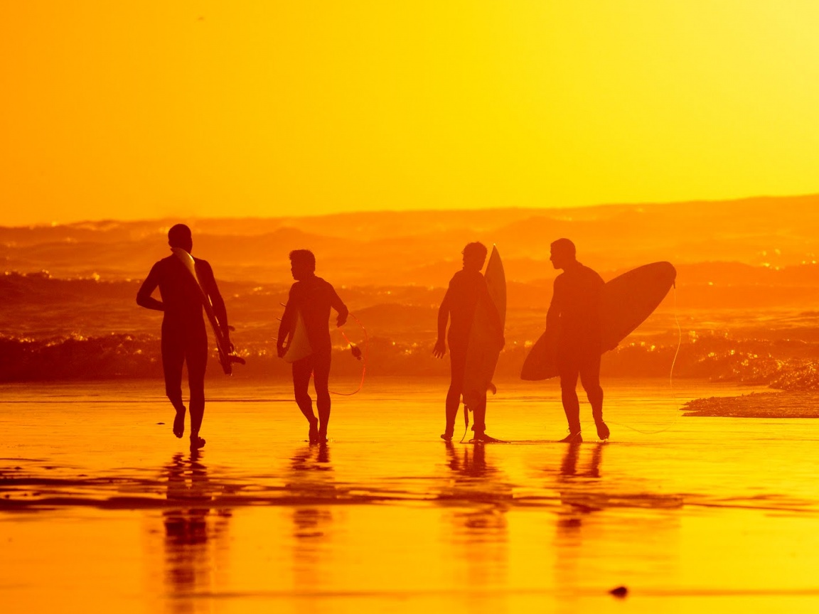 Серфингисты обои