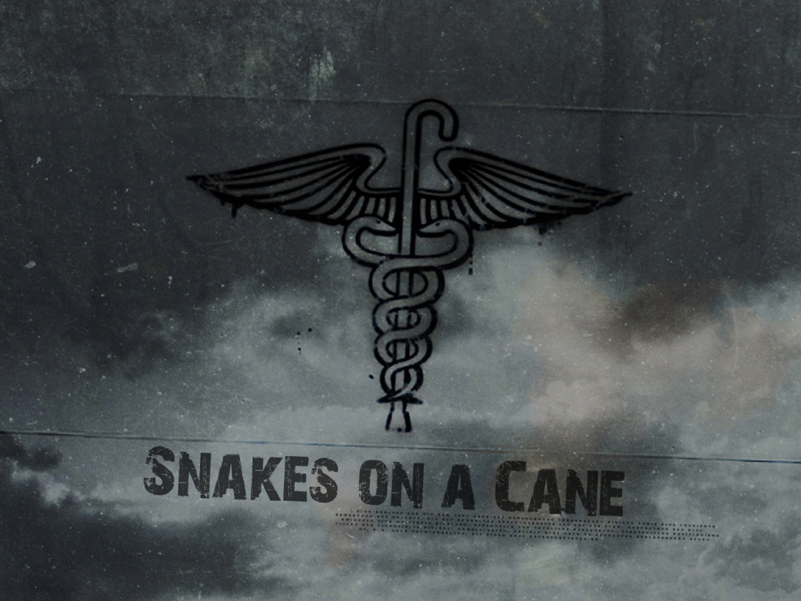 Змеи на трости обои