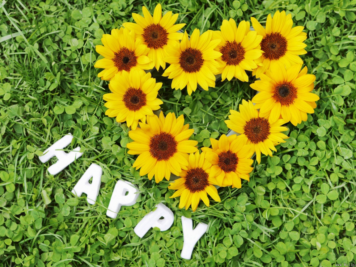 Радость обои