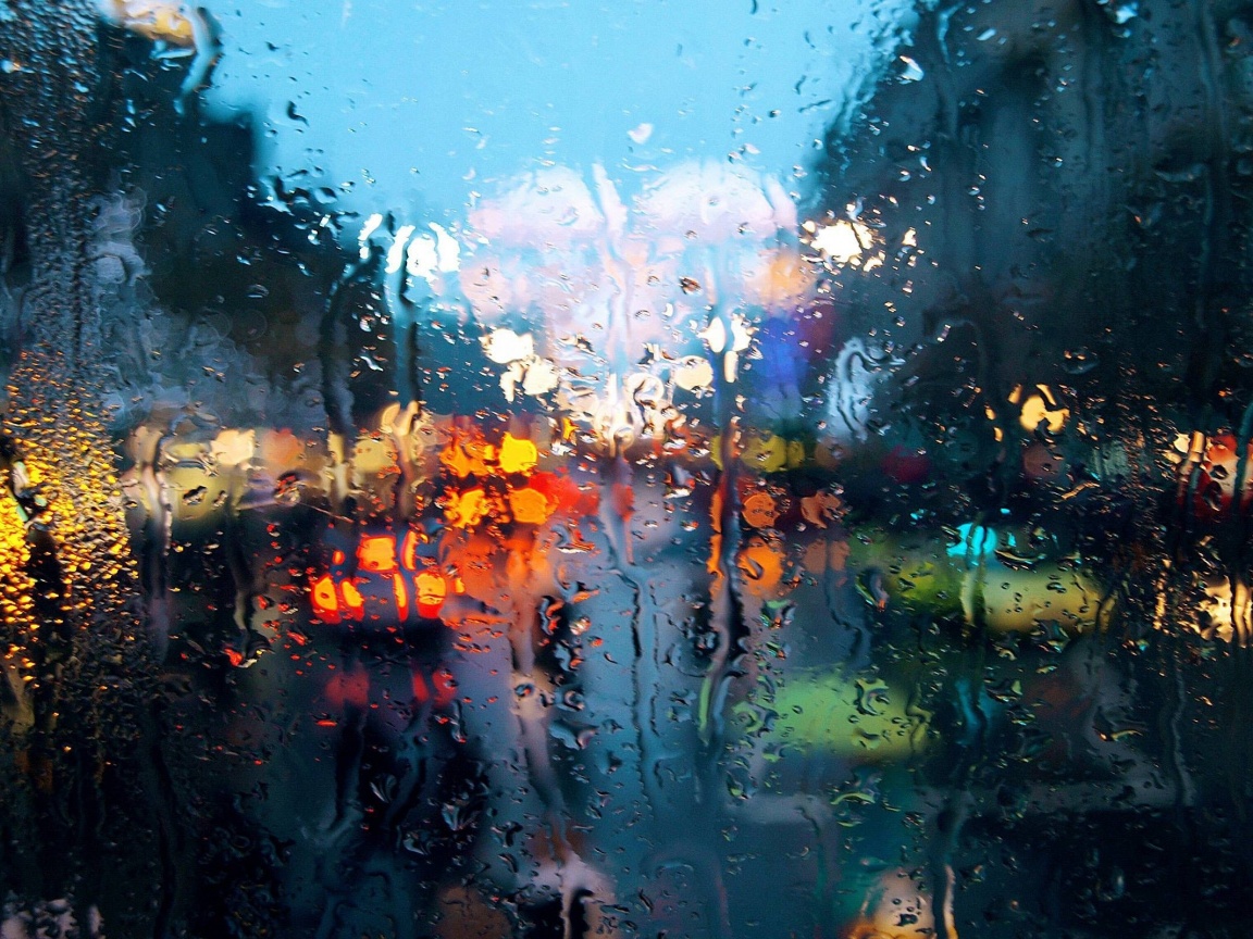 После дождя обои