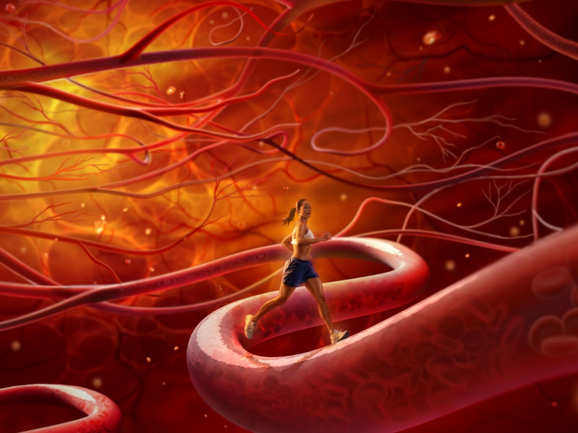 Бег крови обои