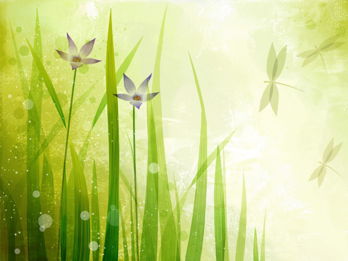 Векторные цветы обои